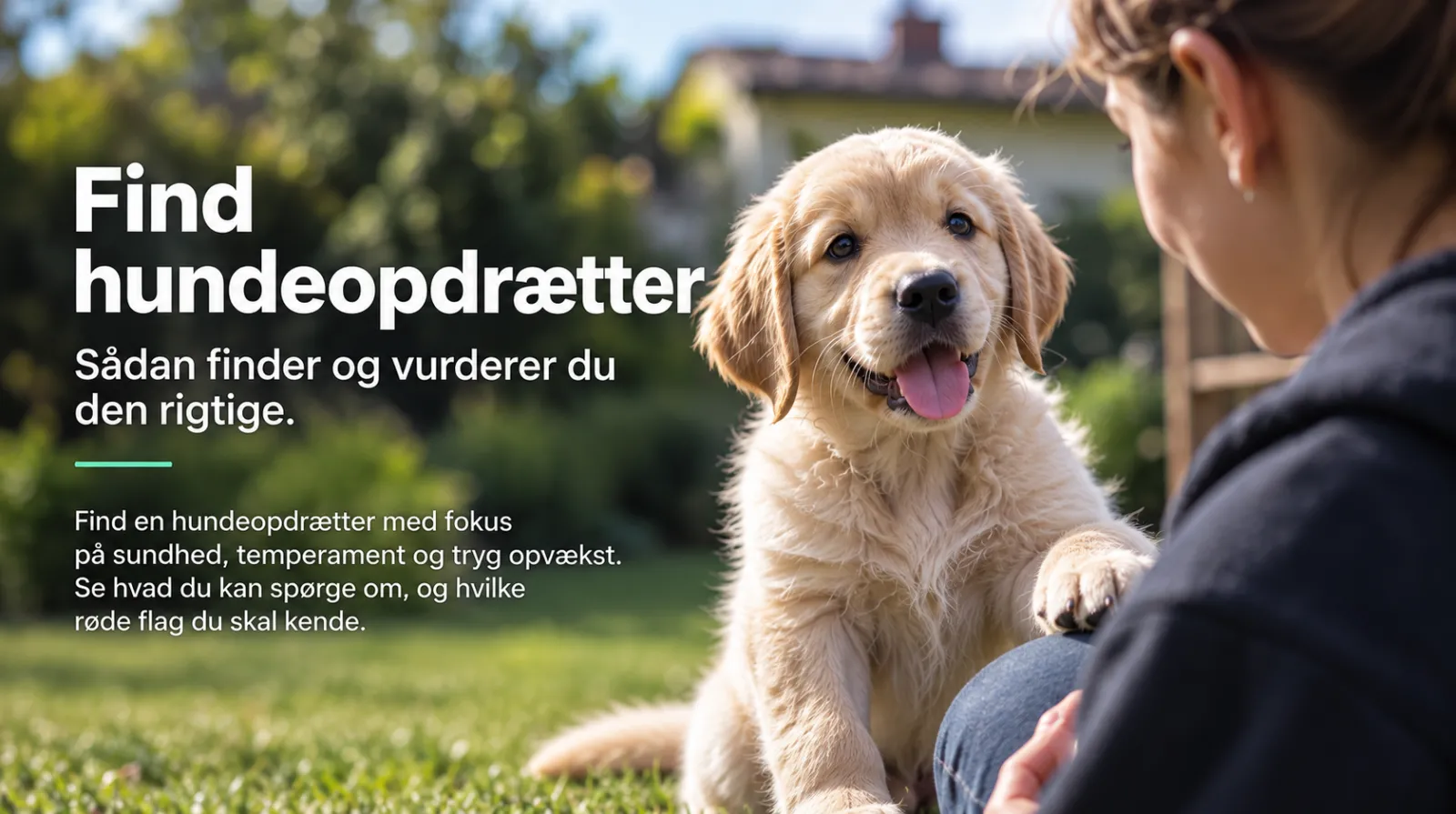 Find hundeopdrætter
