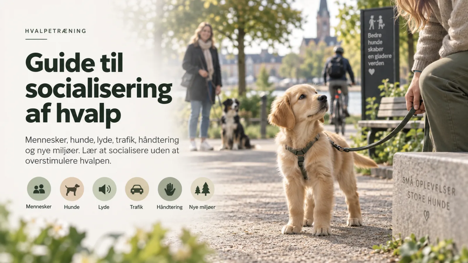 Guide til socialisering af hvalp