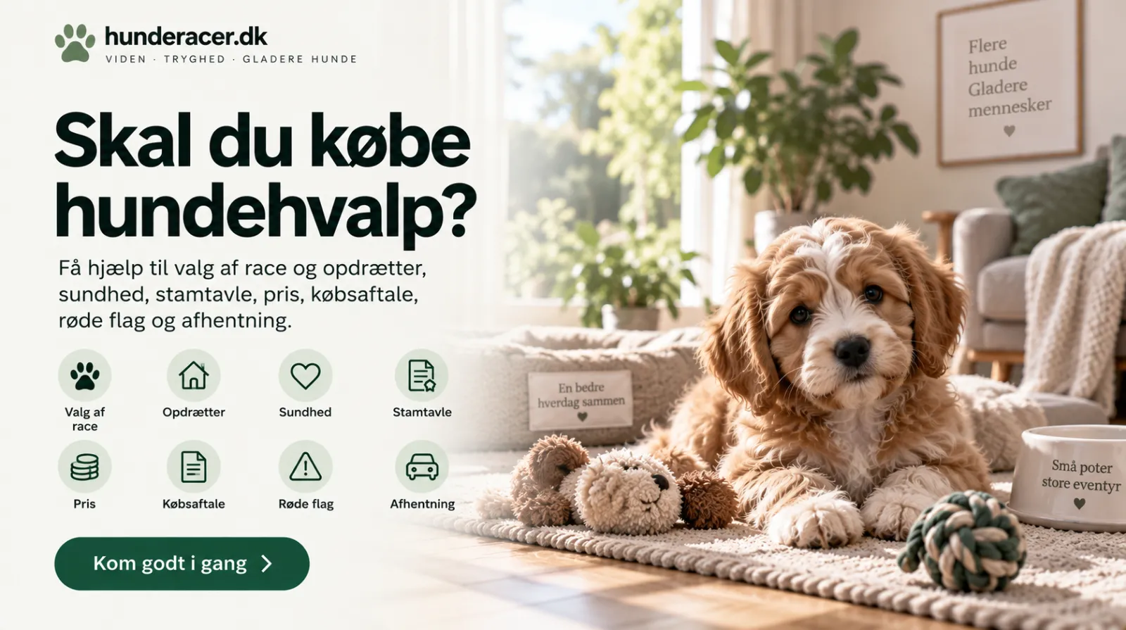 Køb hundehvalp
