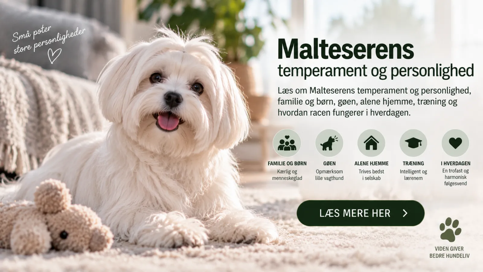 Malteser temperament