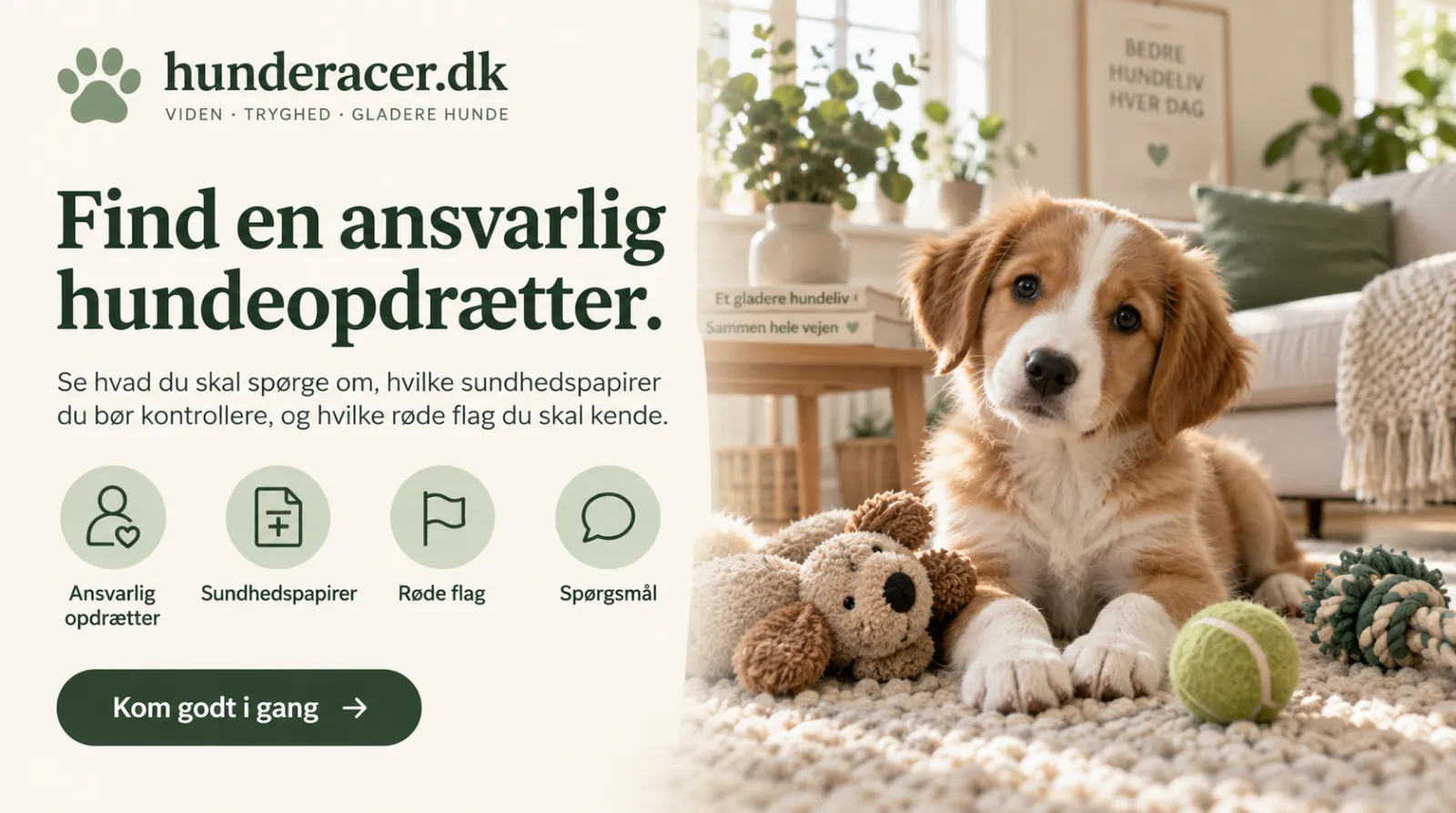 Sådan vælger du en god hundeopdrætter