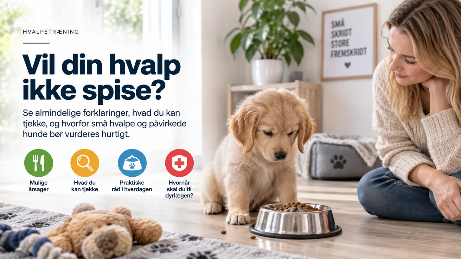 Vil din hvalp ikke spise? Se almindelige forklaringer, hvad du kan tjekke, og hvorfor små hvalpe og påvirkede hunde bør vurderes hurtigt.