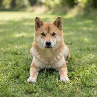Hokkaido