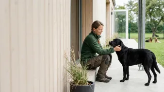 Hundepension – pris og sådan vælger du den rigtige | Hunderacer.dk