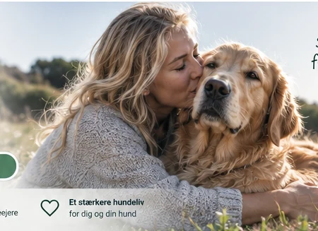 Hund og ejer i naturlige omgivelser