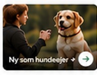 Hund og ejer udendørs